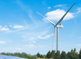 Photovoltaikfreiflächenanlage und Windenergie